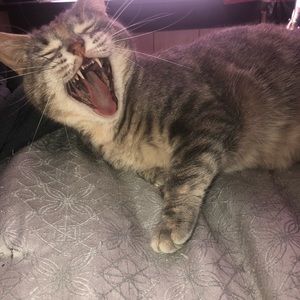 Meet your Posher, Kayla